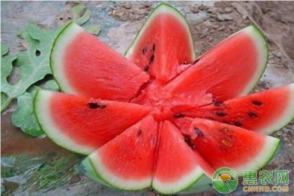 植物生长调节剂在蔬菜瓜果生产上的应用