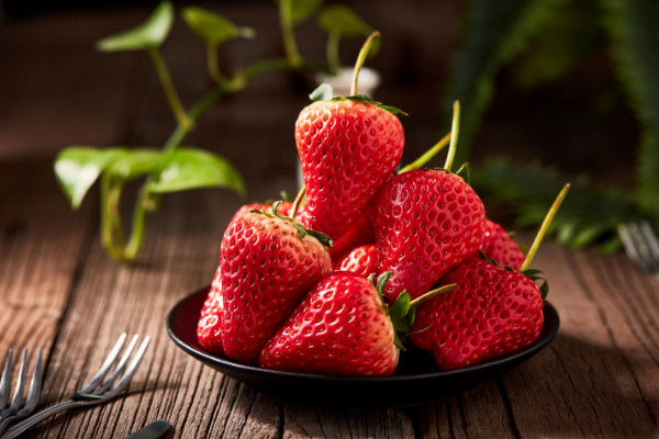 草莓育苗方法