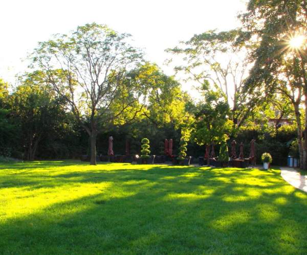 别墅庭院子家用天然草坪